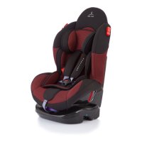   Baby Care Sport Evolution (. 119D)