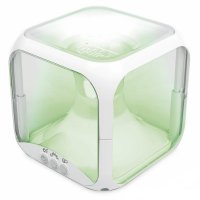   Chicco Multicolor